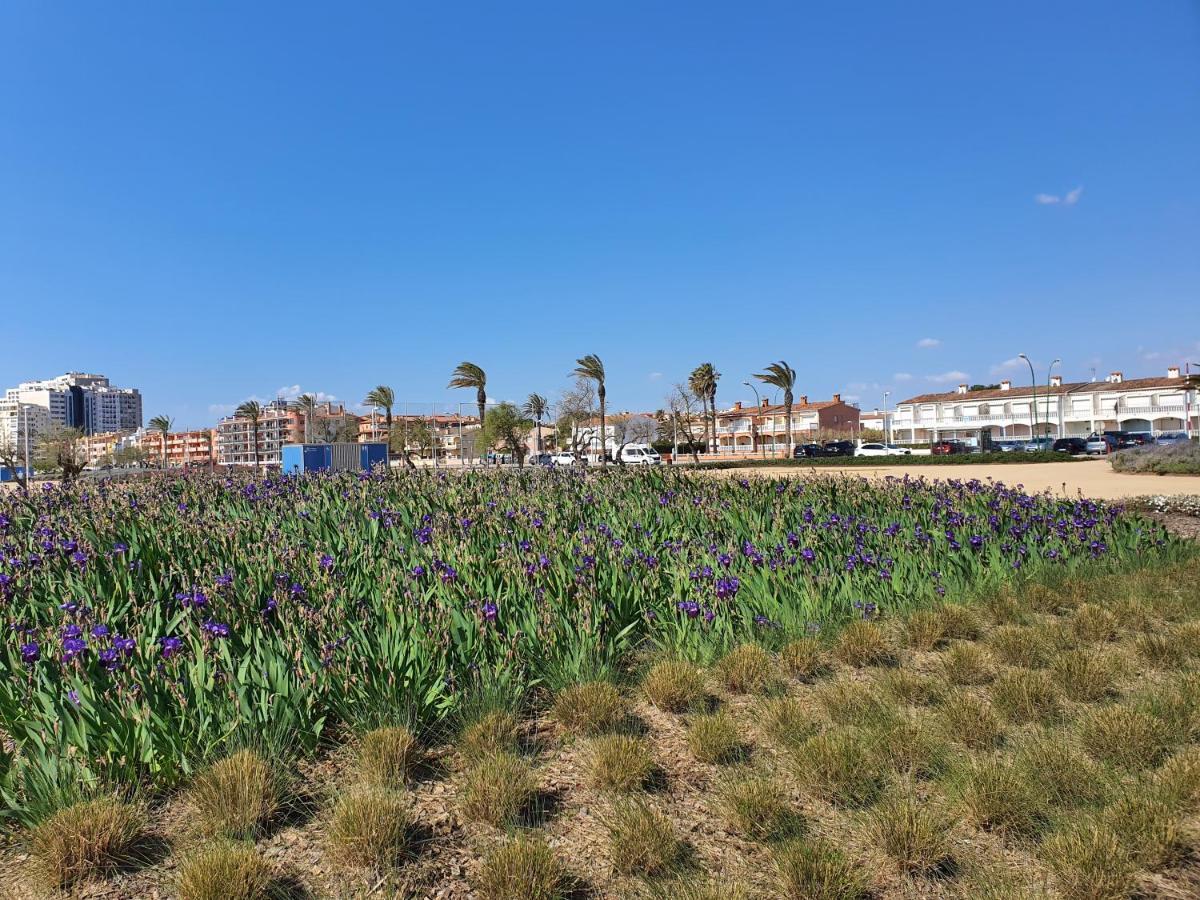 Apartamento Blue Sea Empuriabrava Exterior photo